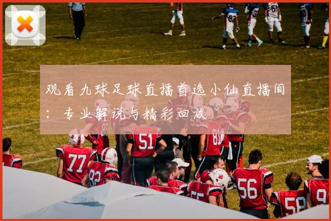 观看九球足球直播首选小仙直播间：专业解说与精彩回放